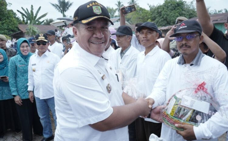 Bupati Asahan Dampingi Pj Gubernur Sumut Tanam Cabai di Desa Serdang