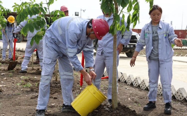 Ciptakan Lingkungan Industri Hijau, Huabao Tanam 100 Pohon di PLTU Desa Tondo