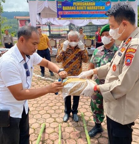 Polres Pakpak Bharat Musnahkan BB Narkotika Jenis Ganja