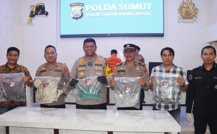 Polres Madina Berhasil Tangkap Pembunuh Arni di Ulu Pungkut