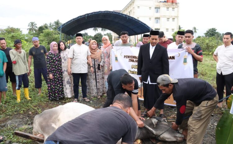  Idul Adha 1445 H, Polres Morowali Qurbankan 21 Ekor Sapi dan 4 Ekor Kambing