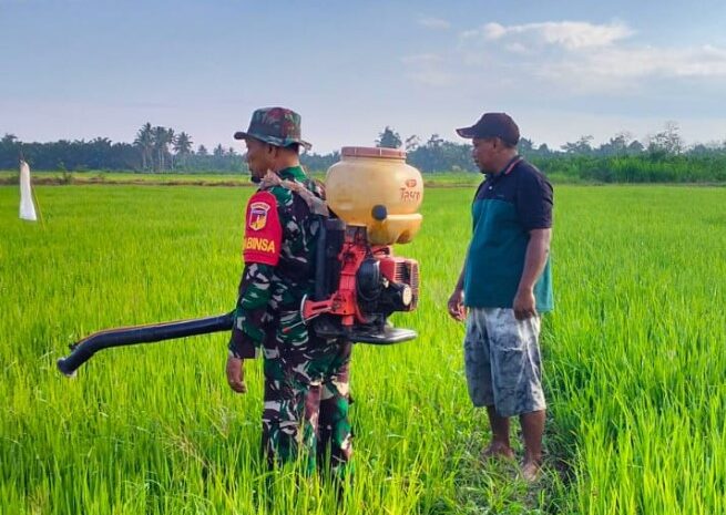  Babinsa Koramil 1311-01/Bungku Tengah Berperan Aktif Dukung Program Ketahanan Pangan di Morowali