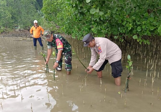  Koramil 1311-03/Petasia Bersama Dinas Lingkungan Hidup Tanam Mangrove di Desa Ganda-Ganda