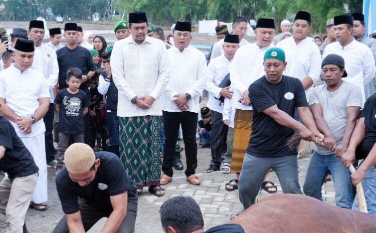  Wali Kota Medan dan Keluarga Berkurban Satu Ekor Sapi di Komplek Tasbi I