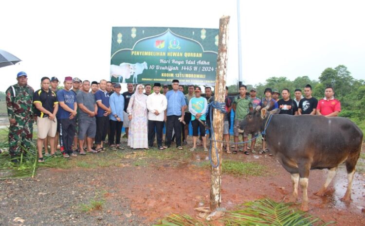  Wujud Syukur Rayakan Idul Adha, Kodim 1311/Morowali Berkurban 14 Ekor Sapi