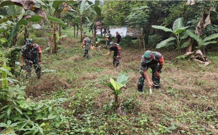  Babinsa Koramil 1311-03/Petasia Bantu Pembukaan Lahan Tanaman Jagung di Desa Mondowe