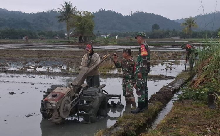  Para Babinsa Koramil 1311-01/Bungku Tengah Laksanakan Pengolahan Lahan Ketahanan Pangan di Desa Solonsa Jaya