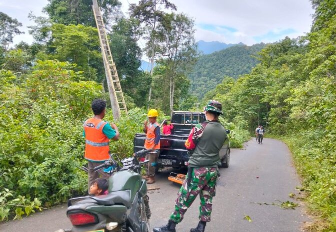 Babinsa Kodim 1311/Morowali Berpartisipasi Ikuti Pembersihan Jaringan Bersama PLN di Kecamatan Soyo Jaya