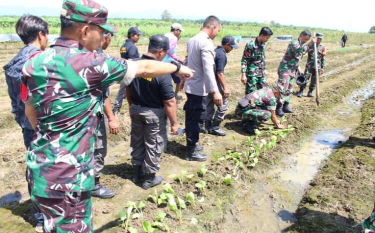  Para Babinsa Kodim 1311/Morowali Bersama Para Petani Bersihkan Lokasi Ketahanan Pangan Kampung Pancasila Desa Puntari Makmur