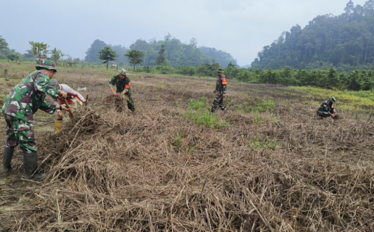  Babinsa Koramil 1311-03/Petasia Komitmen Bantu Petani Dukung Ketahanan Pangan di Desa Maralemulya