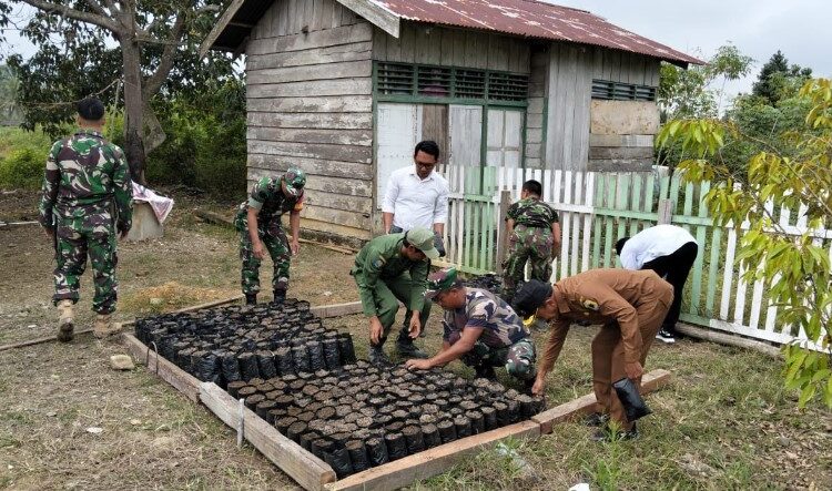  Babinsa Koramil 1311-08/Soyo Jaya Kerjasama Pembibitan Kayu Keras Bersama Linmas dan Pemdes Panca Makmur