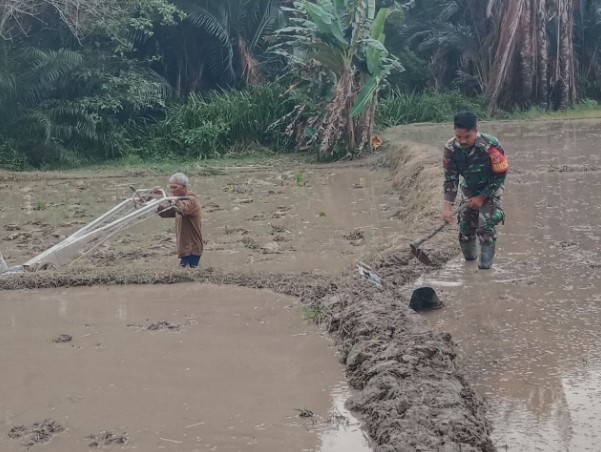  Babinsa Koramil 1311-05/Mori Atas Laksanakan Pendampingan Ketahanan Pangan di Desa Pamberea