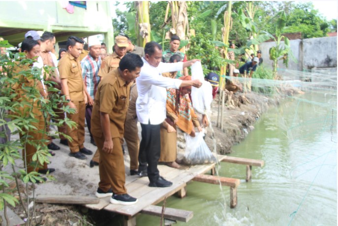  Dorong Peningkatan Kesejahteraan Pembudidaya Ikan, Bupati Sergai Serahkan Bantuan Benih Ikan