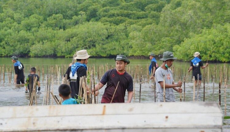  Peduli Lingkungan, PT IMIP Kembali Tanam 3.000 Pohon Mangrove di Desa Bete-Bete