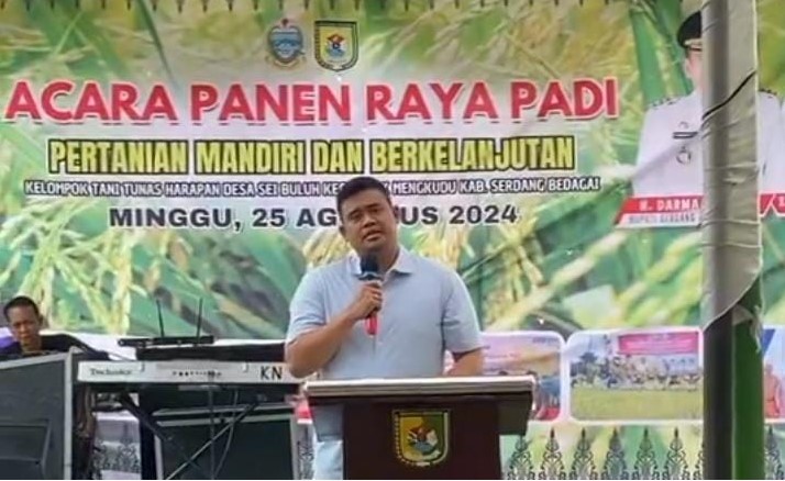  Panen Raya Padi di Desa Sei Buluh, Wali Kota Medan dan Bupati Serdang Bedagai Perkuat Sinergi Untuk Ketahanan Pangan