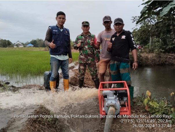  Babinsa Kodim 1311/Morowali Dampingi Petani Dalam Program Pompanisasi di Desa Mandula