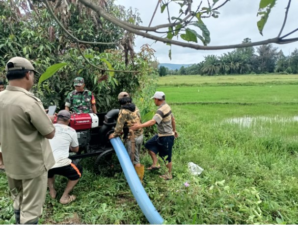  Babinsa Kodim 1311/Morowali Laksanakan Pendampingan Pompanisasi di Desa Tomonjengi