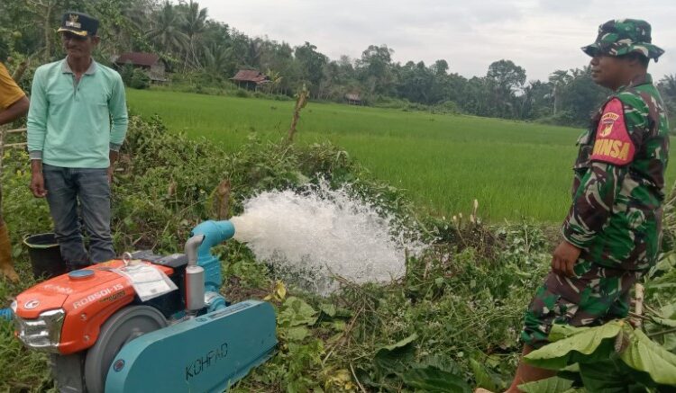  Babinsa Kodim 1311/Morowali Mori Atas Dampingi Kegiatan Pompanisasi di Desa Lanumor