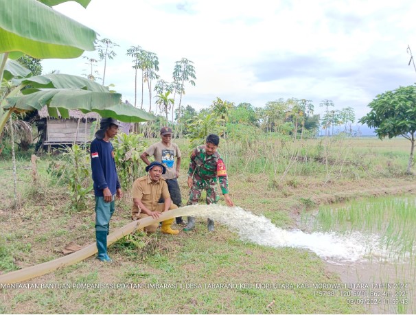  Babinsa Kodim 1311/Morowali Laksanakan Uji Coba Mesin Pompanisasi di Lahan Persawahan Desa Tabarano