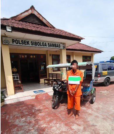  Polsek Sibolga Sambas Tangkap Parbetor Simpan Ganja