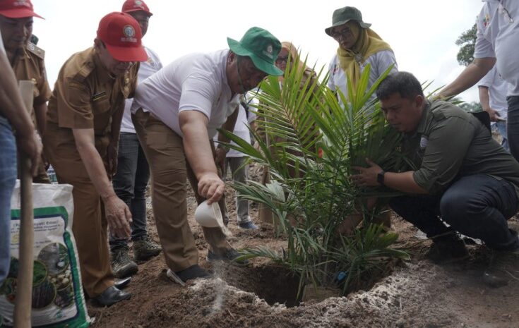  Wakil Bupati Asahan Ikuti Penanaman Perdana Program PSR