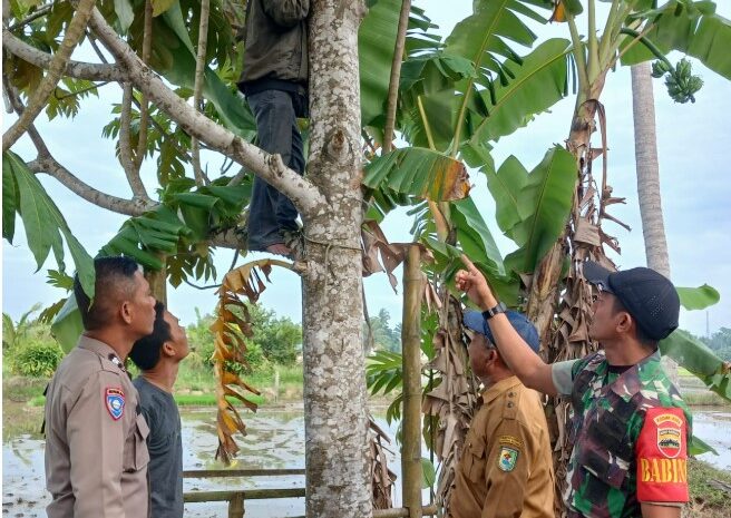  Polisi Polsek Firdaus Polres Sergai Temukan dan Tangani 1 Orang Laki-Laki yang Telah Mengakhiri Hidupnya Sendiri