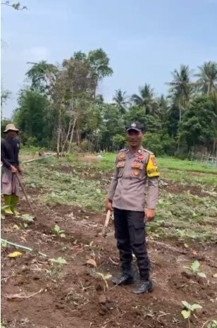  Polsek Bahodopi Penggerak Ketahanan Pangan di Desa Dampala