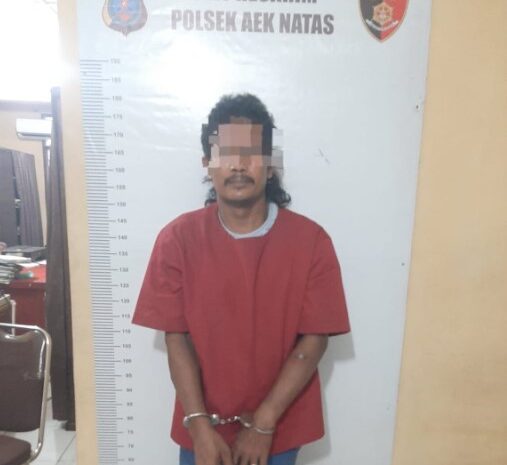  Polsek Aek Natas Berhasil Amankan Pelaku Pengedar Sabu di Kebun Kelapa Sawit