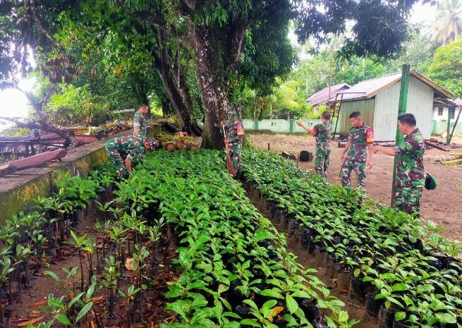  Koramil 1311-06/Bungku Utara Laksanakan Penyemaian dan Pembibitan Pohon untuk Pelestarian Lingkungan di Kabupaten Morowali Utara