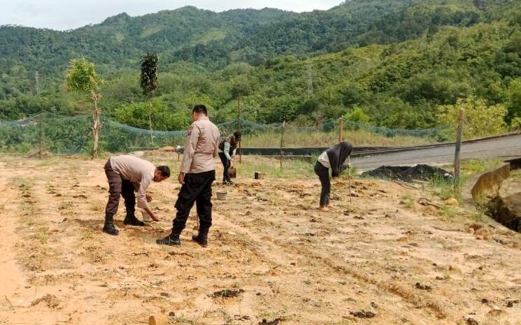  Polres Sibolga Manfaatkan Lahan Tidur Ciptakan Ketahanan Pangan