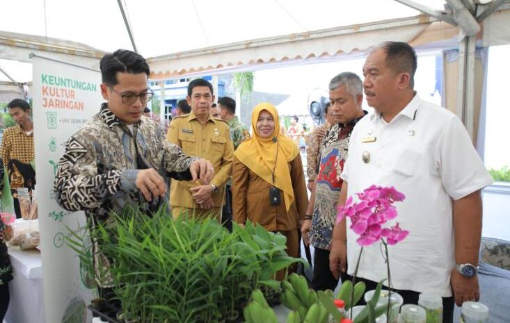  Tunjang Persediaan Lowongan Kerja, Wabup Asahan Bersama Wapres Ikut Tinjau Job Fair Pemprov Sumut