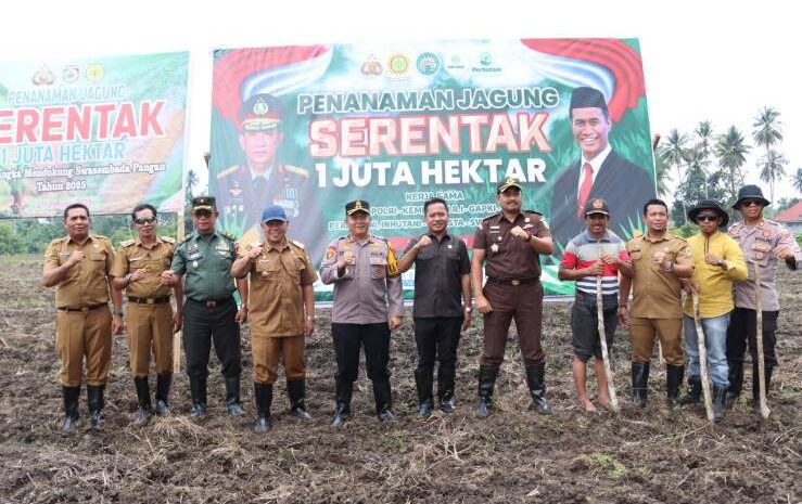  Polres Morowali dan Polsek Jajaran Bersama Dinas Terkait Gelar Penanaman Jagung 4,2 Hektar Dukung Ketahanan Pangan