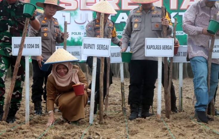  Pemkab Sergai Beri Dukungan Penuh Program Penanaman Jagung 1 Juta Hektar