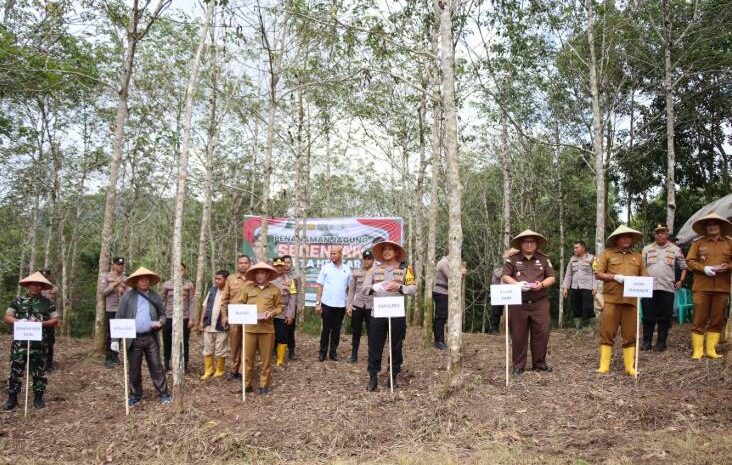  Tanam Jagung Serentak di Desa Buluh Tellang, Polres Pakpak Bharat dan Stackholder Dukung Ketahanan Pangan