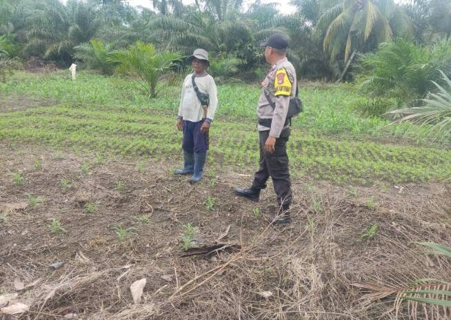  Polsek Bungku Barat Dorong Program Ketahanan Pangan di Desa Umpanga