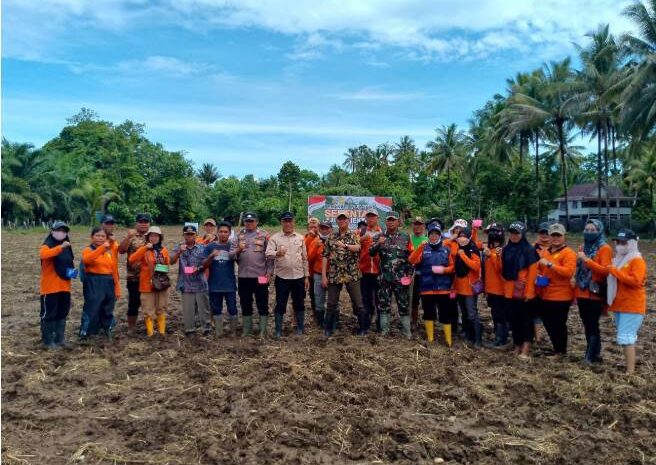  Tanam Jagung 1 Juta Hektar, Koramil 1311-06/Bungku Utara Dukung Program Ketahanan Pangan