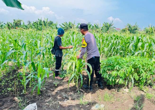  Polsek Bahodopi Dorong Program Lahan Produktif di Desa Dampala