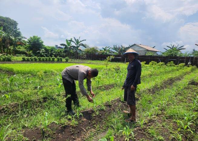  Polres Morowali Dorong Ketahanan Pangan: Bhabinkamtibmas Ubah Lahan Tidur Jadi Produktif