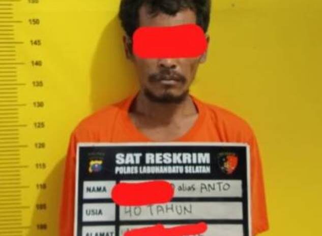  Ayah di Labusel Tega Cabuli Anak Kandung Sampai Melahirkan