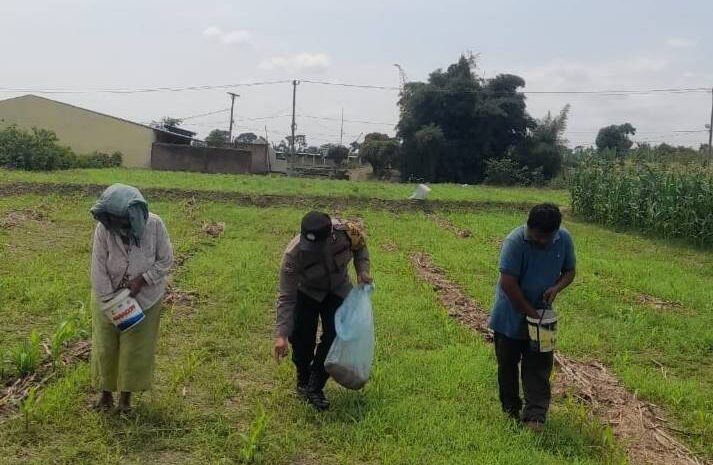  Polsek Siantar Marihat Sambangi Petani