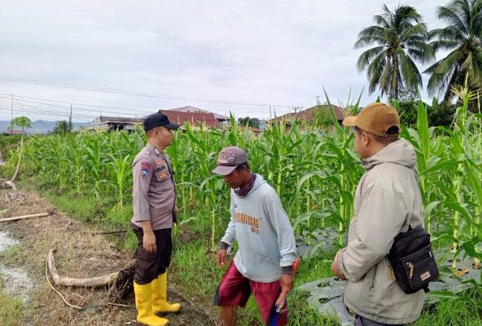  Polres Morowali Dorong Ketahanan Pangan di Desa Emea Melalui Bhabinkamtibmas