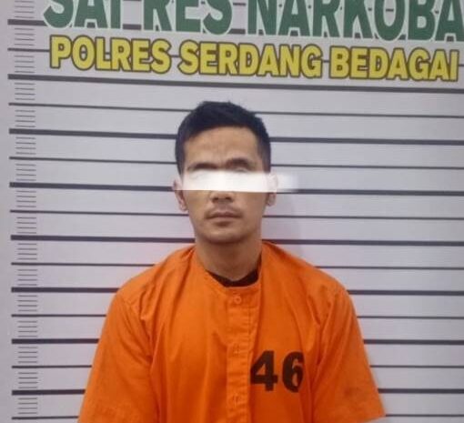  Dua Pengedar Sabu Ditangkap Sat Narkoba Polres Sergai di Perkebunan Lonsum