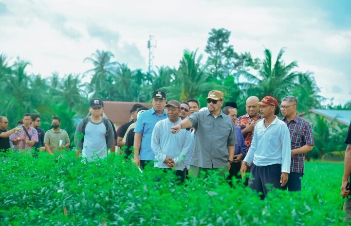  Sosialisasi Dengan Poktan Lubuk Cuik Digelar, Bupati Batubara Ingin Petani Cabai Jadi Orang Kaya Baru