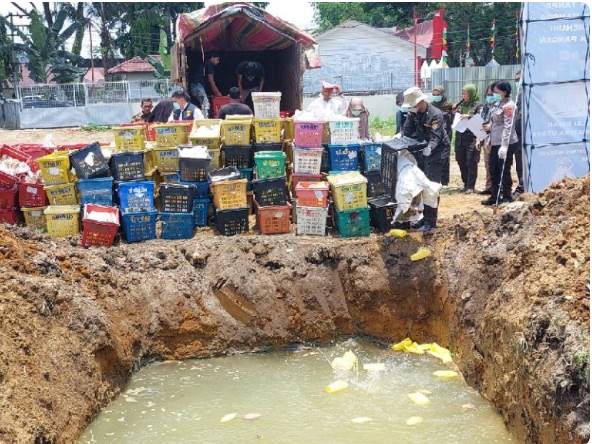  Polda Sumut Amankan Truk Bermuatan Mangga Ilegal Asal Thailand di Tol Amplas