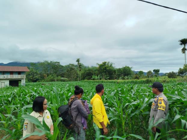  Bhabinkamtibmas Polsek Salak Monitor dan Koordinasi Terkait Program Ketahanan Pangan