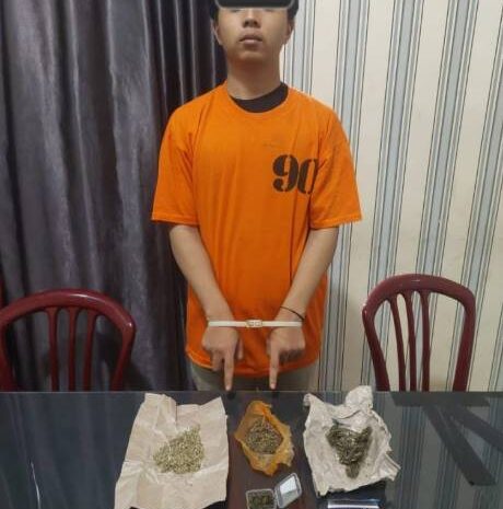  Polres Tanah Karo Ringkus Pemuda Pemilik Ganja di Kamar Kos