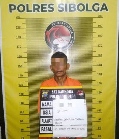  Polres Sibolga Tangkap Residivis Pemilik Ganja