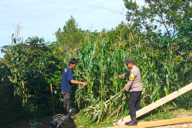  Bhabinkamtibmas Polsek Sejajaran Polres Pakpak Bharat Monitoring Warga Binaan Terkait Ketahanan Pangan