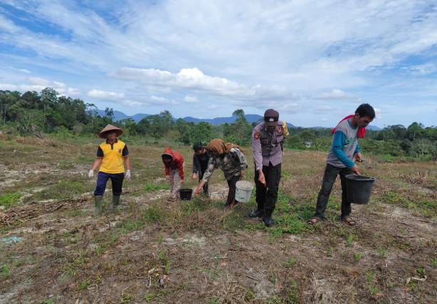  Kapolsek Sukaramai Dukung Ketapang Berikan Semangat dan Motivasi Kepada Petani