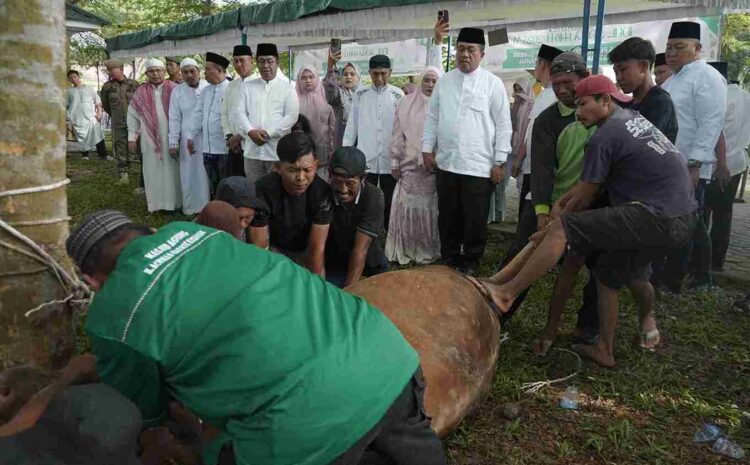  Bupati Asahan Pantau Penyembelihan 111 Hewan Kurban di Kegiatan Idul Adha Pemerintah Kabupaten Asahan
